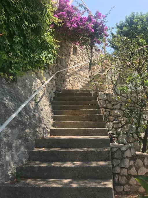 Vila Jana Villa Dubrovnik Kültér fotó