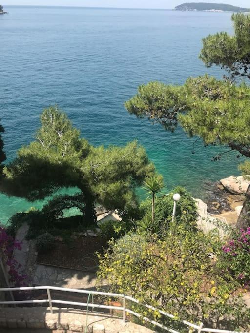 Vila Jana Villa Dubrovnik Kültér fotó